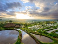 Australien & Indonesien ab Singapur mit AIDAcara